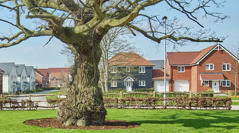 St Luke’s Park, Wickford
